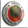 GENÇLERBİRLİĞİ