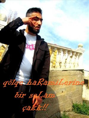 Gölge haramileri