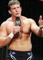 Ted dibiase