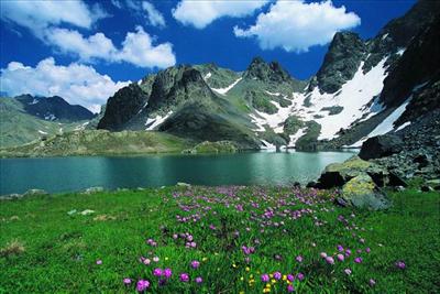 Rize