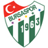 Bursa Spor