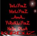 Verilsin