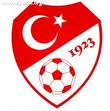 Millii takım
