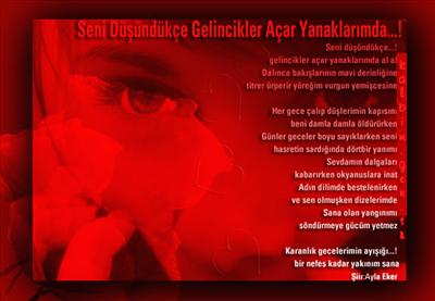 Şiir 11