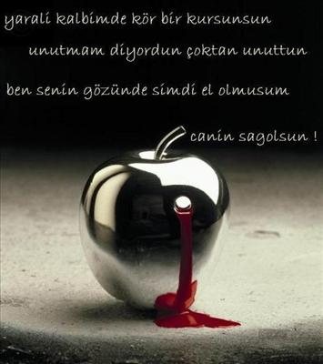 Şiir 16
