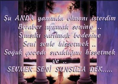 Şiir 8