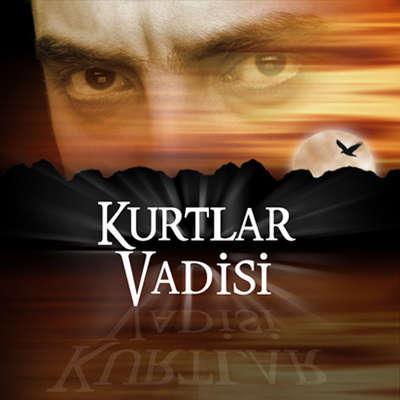 KURTLAR VADİSİ