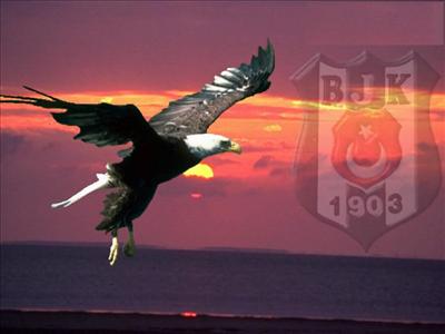 BESİKTAS 