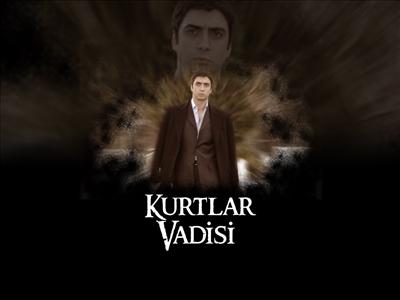 KURTLAR VADİSİ