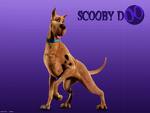 Scooby Doo