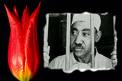 SEYYİD KUTUP rh:a