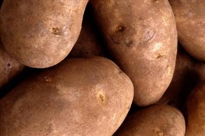 BATATA