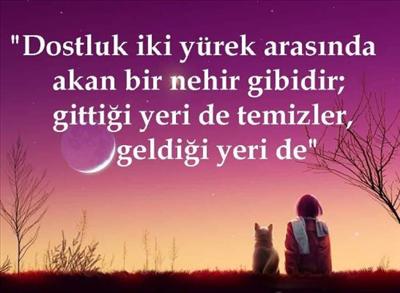 Zaruri bir durumdan dolayı işlediğin bir cinayetin cesedini korkmayıpta kendi evinin bahçesine gömen?
