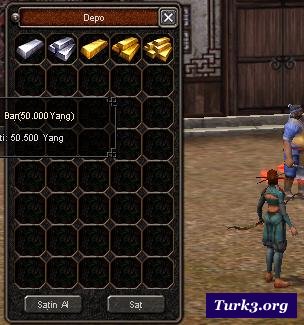 Metin2