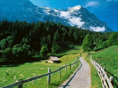 Karadeniz