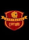 ULTRASLAN ÇORUM
