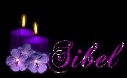 Sibel