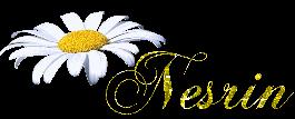 Nesrin