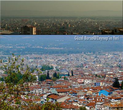 BURSA