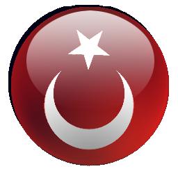 Türk Bayrağı 14