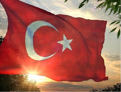 Türk bayrağı 7