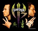 The hardy boys