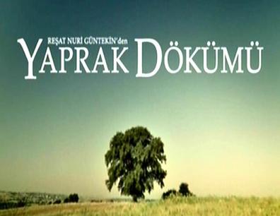 Yaprak Dökümü