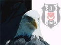 BEŞİKTAŞ