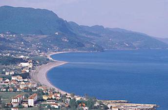 Cide