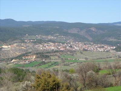 Araç