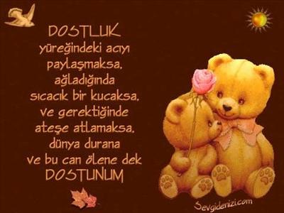 Dostunsa