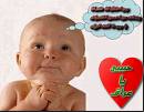 7abibek