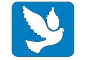 Demokratik Sol Halk Partisi ( DSHP )