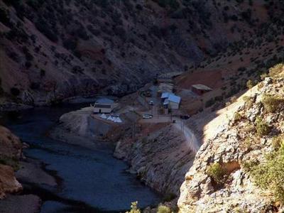 ŞİFALIDIR
