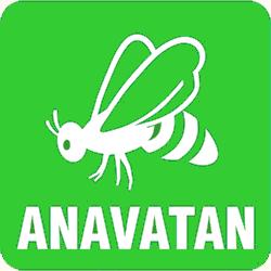 Anavatan Partisi (AP)
