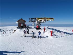 Neve