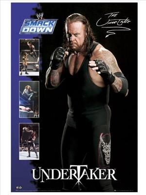 THE UNDERTAKER