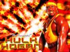Hulk Hogan{Champion}(Şampiyon)