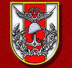 Türk Silahlı Kuvvetleri