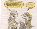 FeneRbahçe