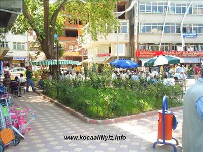 KOCAALİ