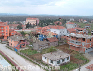 FERİZLİ