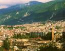 Bursa