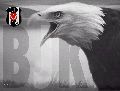 BEŞİKTAŞ