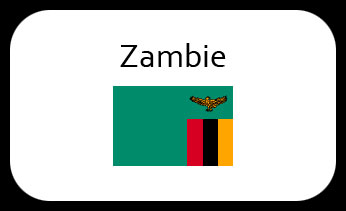 Zambie