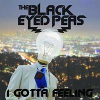 I Gotta Feeling (The Black Eyed Peas)