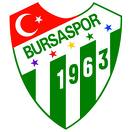 BURSA SPOR