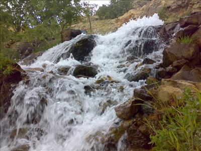 TEMURBOĞA 