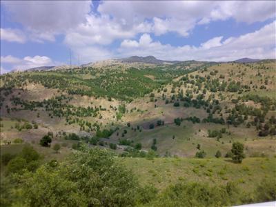 BEKMEZ & ŞAHİN 