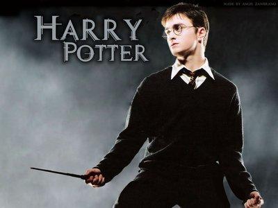 Harry potter serisi